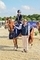 Lola Thulborn is HOYS Bound as she Flies to Victory in the Blue Chip Pony Newcomers Second Round 